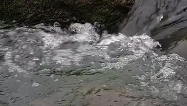 实拍瀑布水流高清视频视频的预览图